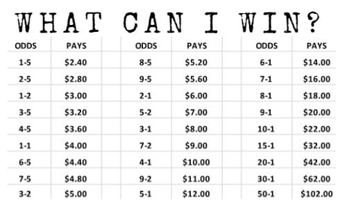 daily wager best bets