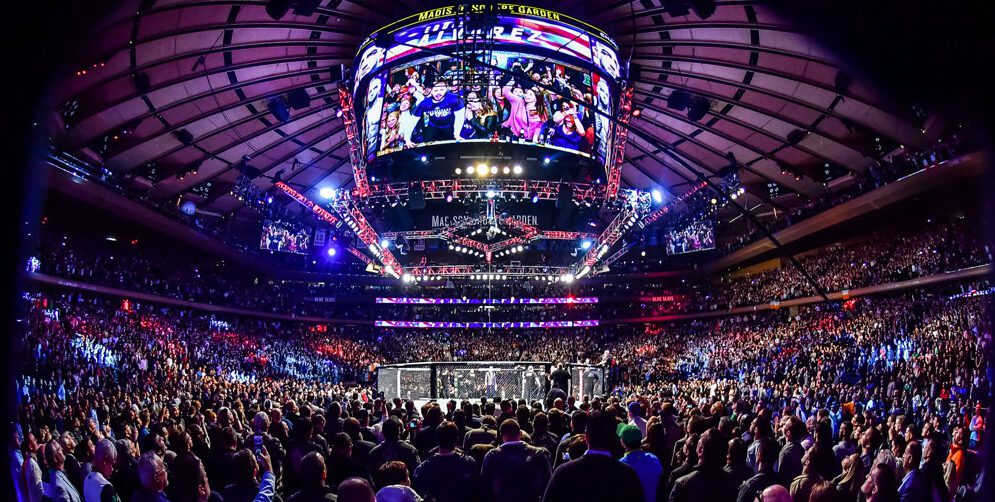UFC Fight Night: Ankalaev vs Walker Predictions, Picks and Betting Odds January 13